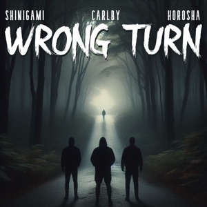 Wrong Turn (feat. shinigami)