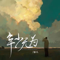 年少无为 - Single - 林凡