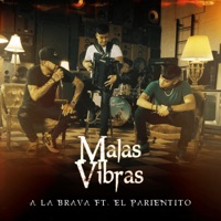 Malas Vibras - Single - A La Brava & El Parientito