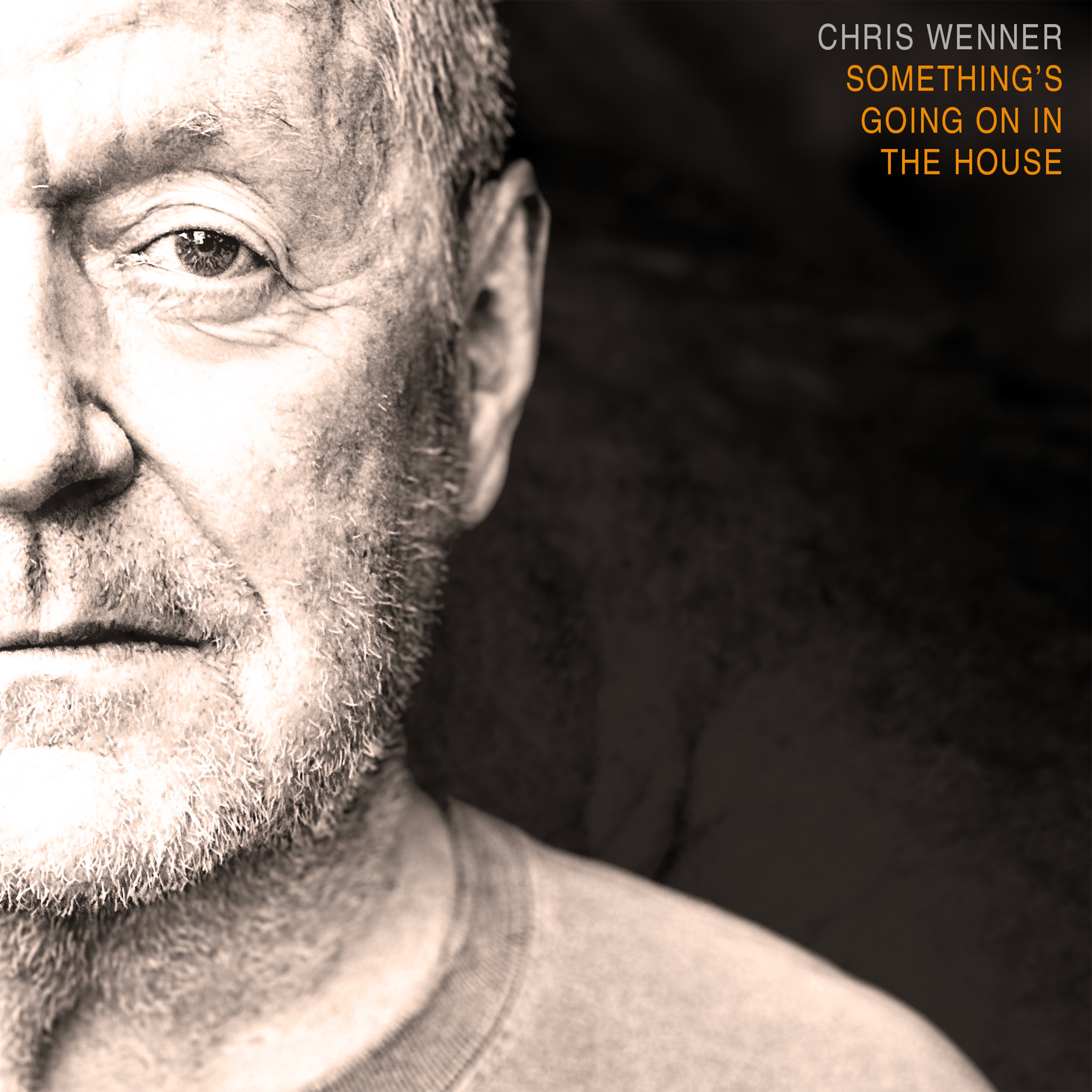 Something's Going On in the House - Single