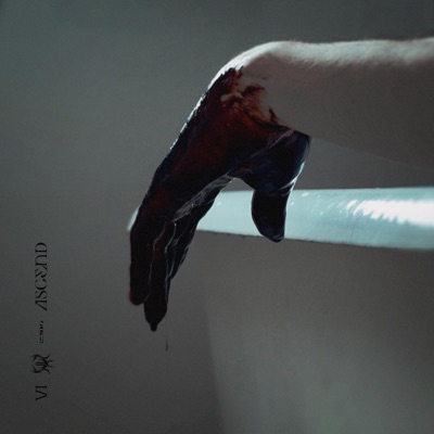 Ascend - Single