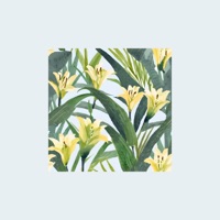 Maybe (Lovers Back to Friends) - Single - Thomas Geelens