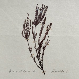 Shallows (Single Version) - Single