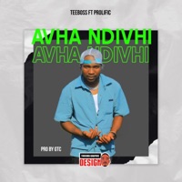 Avha n Ḓivhi (feat. TeeBoss GTC) - Single - Prolific RSA