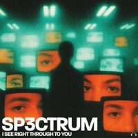 I See Right Through to You - Single - Sp3ctrum