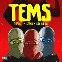 Album cover for tems (feat. Kay Da Ace & Ceena) by TopAge