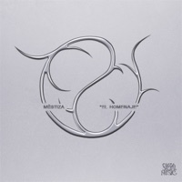 El Homenaje - Single - MËSTIZA