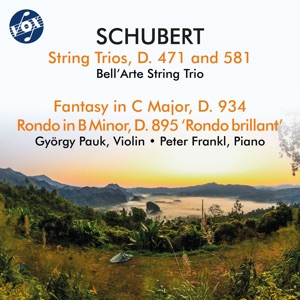 Schubert: Chamber Works