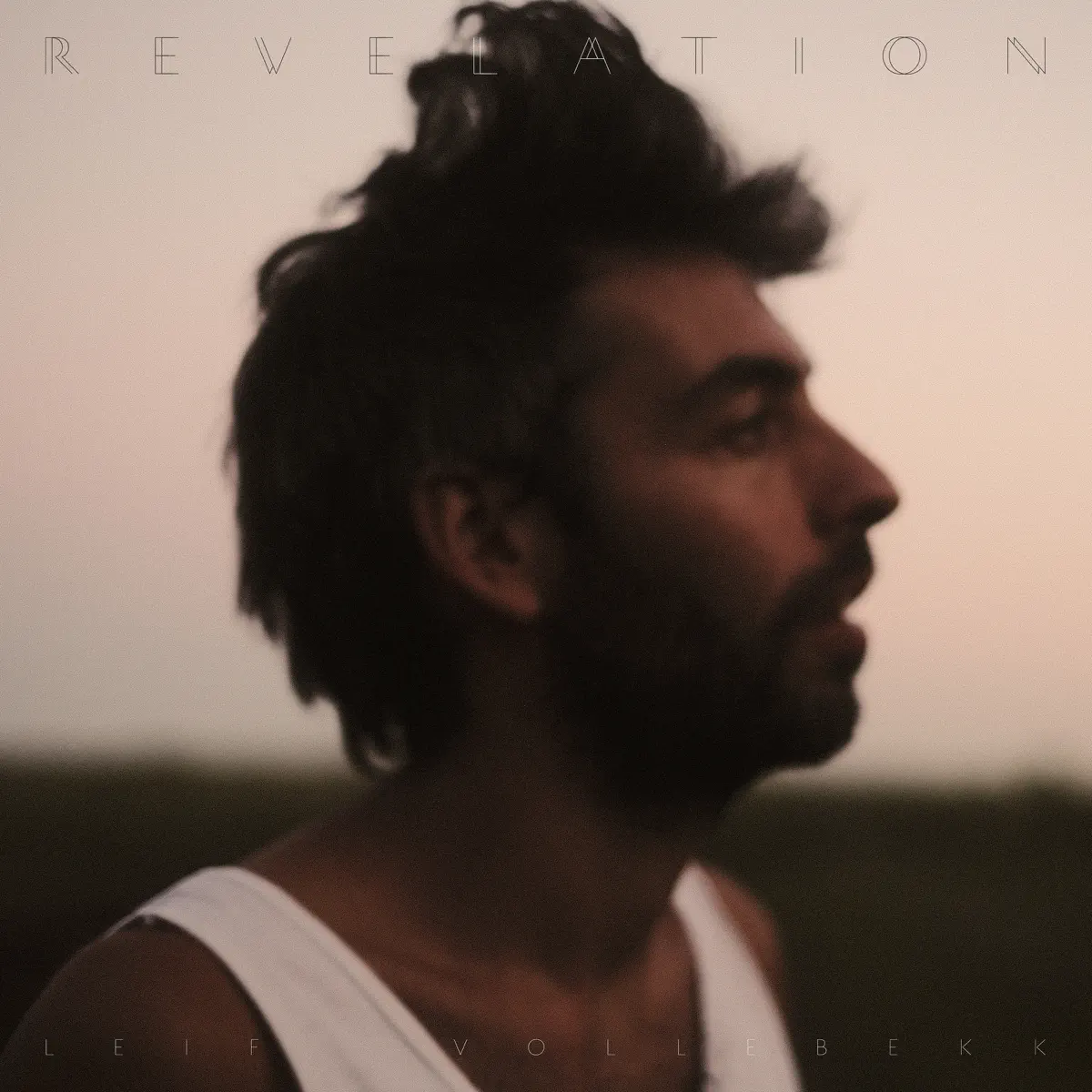 Leif Vollebekk - Revelation (2024) [iTunes Plus AAC M4A]-新房子