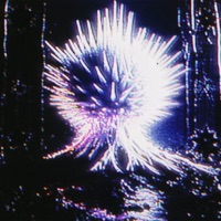 STARSCOURGE - EP - Mobbs Radical, Jon Loc & Notions