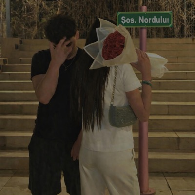 Sos. Nordului - Single