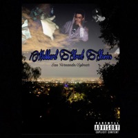 What chu not about (feat. playS) - Single - Yung Slim
