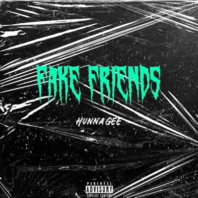 Fake Friends - Single