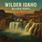 The Light in Twin Falls - Wilder Pines lyrics