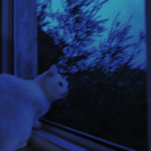 slowed, vol. 1