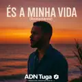Tuga