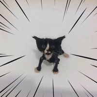 Get Down - Single - Fightclxb