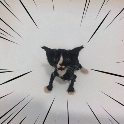 Get Down - Single