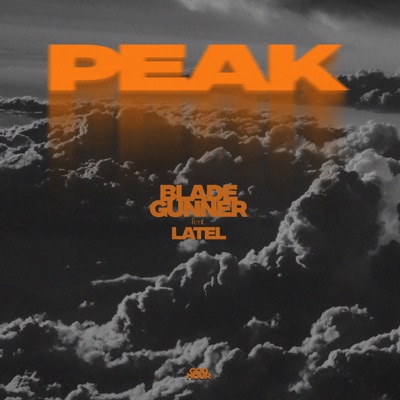 PEAK (feat. Latel) - Single