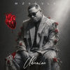 Isesheli (feat. OmaThwala) - Mzukulu