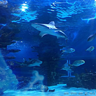 Solo quiero ser yo - EP