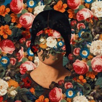 Outras Flores - Single - Velino