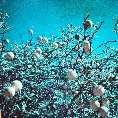 Conversion of Light EP