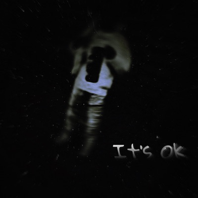 It's Ok - Single
