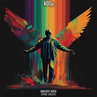 Divine Groove - Single - Indecent Noise