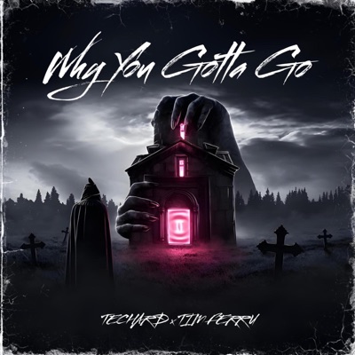 Why You Gotta Go - Single