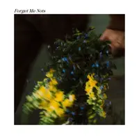 Nick Mellow — Forget Me Nots