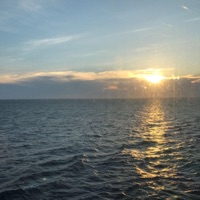 Album cover for The Strokes (Instrumental) - Single by Ryan Beaman