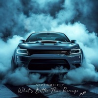 What's Better Than REVENGE 2 - SevenMile P