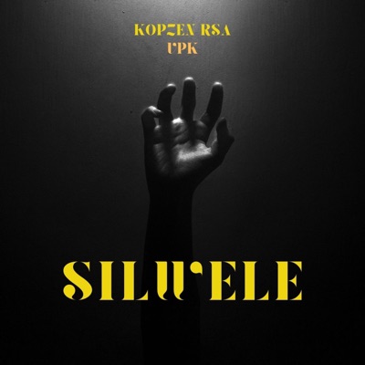 Silwele (feat. VPK) - Single