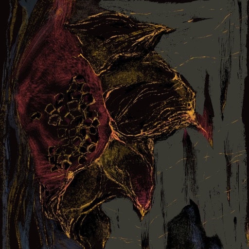 Album artwork