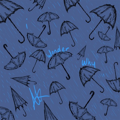 i wonder why - Single