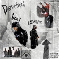 Destined (feat. Luwivee) - Single - $oak