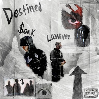 Destined (feat. Luwivee) - Single