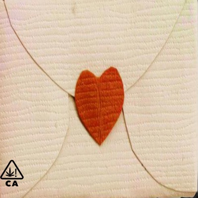 Letter 2 My Za - Single