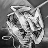 TMW (Slowed & Reverb) - Single