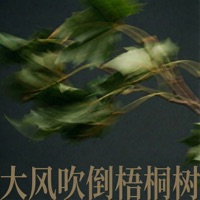 大风吹倒梧桐树 (R&B版) - Single - 王一佳