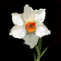 Dance трип - Single - Зубы:)