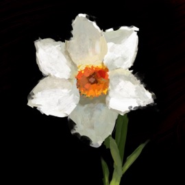 Dance трип Зубы:)