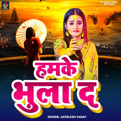 Hamke Bhula Da - Single