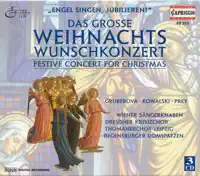 Maria durch ein' Dornwald ging