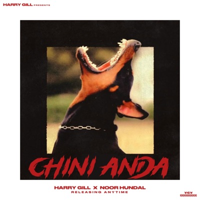 CHINI ANDA (feat. NOOR HUNDAL) - Single