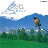 鳥たちのシンフォニー/日本の野鳥 - 野山にて