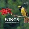 Jennifer Anderson Reflections of Reflections (11.11.11), for wind quintet Wings: Chamber Music by Rami Levin