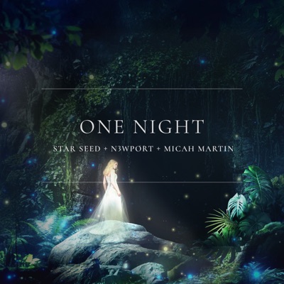 One Night - Single