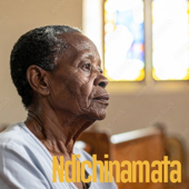 Ndinoramba Ndichinamata